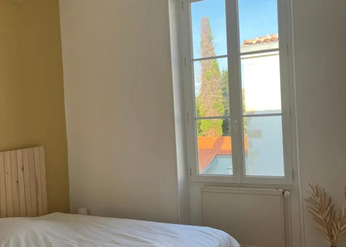 Location Ile D'oléron, Et Commerces à Pieds